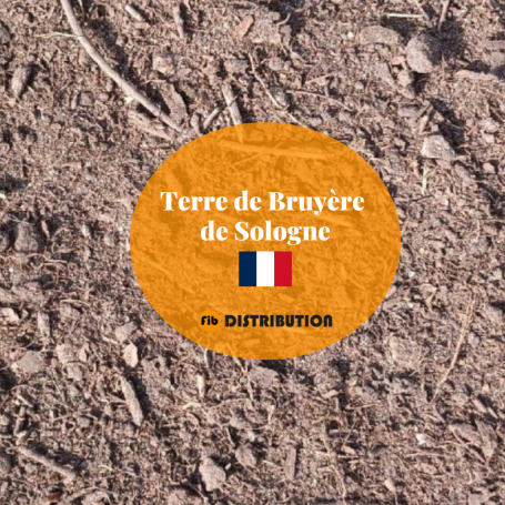 TERRE DE BRUYERE